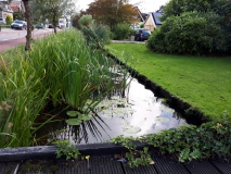 oude-beschoeiing-den-ilp